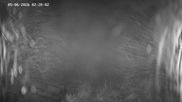 Archived webcam image showing Ladurns: Slope Ladurner Alm on 5 Jun 2026 at 02:14