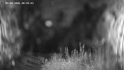 Archived webcam image showing Ladurns: Slope Ladurner Alm on 3 Aug 2026 at 00:40