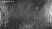 Archived webcam image showing Ladurns: Slope Ladurner Alm on 9 Sep 2026 at 04:39