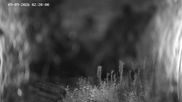 Archived webcam image showing Ladurns: Slope Ladurner Alm on 9 Sep 2026 at 02:39