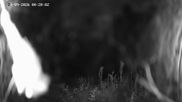 Archived webcam image showing Ladurns: Slope Ladurner Alm on 21 Sep 2026 at 00:25