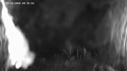 Archived webcam image showing Ladurns: Slope Ladurner Alm on 29 Oct 2026 at 04:02
