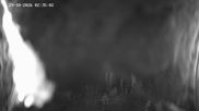 Archived webcam image showing Ladurns: Slope Ladurner Alm on 29 Oct 2026 at 02:02
