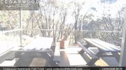 Archiviertes Webcam Bild: Falls Creek: Cedarwood Apartments am 13.04.2026 um 00:20 Uhr