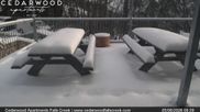 Archived webcam image showing Falls Creek - Cedarwood Apartments on 5 Jun 2026 at 00:40