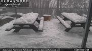 Archived webcam image showing Falls Creek - Cedarwood Apartments on 4 Jul 2026 at 04:22