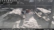 Archived webcam image showing Falls Creek - Cedarwood Apartments on 5 Jul 2026 at 04:08