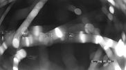 Archived webcam image showing Lago di Ledro on 18 Sep 2026 at 04:24