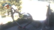 Archived webcam image showing View from the Speckalm at the upper Sudelfeld on 12 Jul 2026 at 10:32