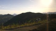 Archived webcam image showing Grasgehren: Panoramic view over the ski resort on 10 Aug 2026 at 08:08
