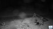 Archived webcam image showing Unterberg - Schutzhütte on 17 Sep 2026 at 04:51