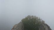 Archived webcam image showing View of Falkenstein Castle on 21 Sep 2026 at 08:05