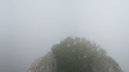 Archived webcam image showing View of Falkenstein Castle on 21 Sep 2026 at 12:05