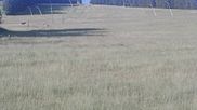 Archived webcam image showing Schieferwiese on 25 Jun 2026 at 07:03