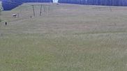 Archived webcam image showing Schieferwiese on 25 Jun 2026 at 12:03