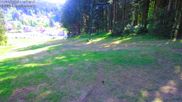 Archived webcam image showing Bavarian Forest: Kapellenberg on 4 May 2026 at 10:01