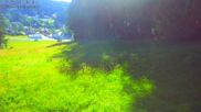 Archived webcam image showing Bavarian Forest: Kapellenberg on 12 Jul 2026 at 08:03