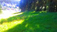 Archived webcam image showing Bavarian Forest: Kapellenberg on 12 Jul 2026 at 10:03