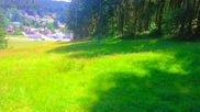 Archived webcam image showing Bavarian Forest: Kapellenberg on 12 Jul 2026 at 12:03