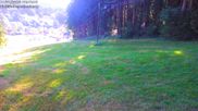 Archived webcam image showing Bavarian Forest: Kapellenberg on 13 Aug 2026 at 08:31