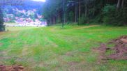 Archived webcam image showing Bavarian Forest: Kapellenberg on 25 Aug 2026 at 12:20