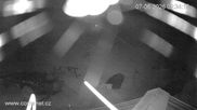 Archived webcam image showing Base station Vrchlabí on 7 Jun 2026 at 02:56