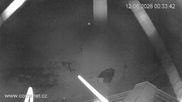 Archiviertes Webcam Bild: Talstation Vrchlabí am 12.06.2026 um 00:17 Uhr