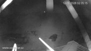 Archiviertes Webcam Bild: Talstation Vrchlabí am 12.06.2026 um 02:17 Uhr