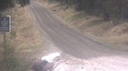 Archived webcam image showing Cross-country ski track Weitersglashütte on 13 Apr 2026 at 10:31