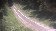 Archiviertes Webcam Bild: Kammloipe Weitersglashütte am 28.05.2026 um 10:53 Uhr