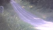 Archived webcam image showing Cross-country ski track Weitersglashütte on 12 Jul 2026 at 07:20