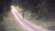 Archived webcam image showing Cross-country ski track Weitersglashütte on 12 Jul 2026 at 10:20