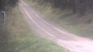 Archived webcam image showing Cross-country ski track Weitersglashütte on 20 Sep 2026 at 08:25