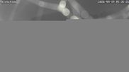 Archived webcam image showing Ski area Sellinghausen - base station on 19 Sep 2026 at 06:57