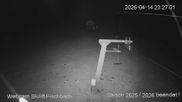 Archiviertes Webcam Bild: Schluchsee: Skilift Fischbach am 15.04.2026 um 00:29 Uhr