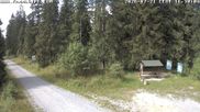 Archiviertes Webcam Bild: Kammloipe Hirschenstander Pass am 21.07.2026 um 16:27 Uhr