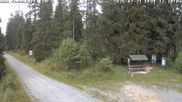 Archiviertes Webcam Bild: Kammloipe Hirschenstander Pass am 21.07.2026 um 12:27 Uhr