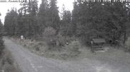 Archiviertes Webcam Bild: Kammloipe Hirschenstander Pass am 11.10.2026 um 07:35 Uhr