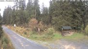 Archiviertes Webcam Bild: Kammloipe Hirschenstander Pass am 11.10.2026 um 10:35 Uhr
