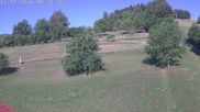 Archived webcam image showing Donnstetten Luge Run on 12 Jul 2026 at 08:41