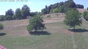 Archived webcam image showing Donnstetten Luge Run on 12 Jul 2026 at 14:41