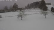 Archived webcam image showing Donnstetten Luge Run on 26 Mar 2026 at 08:02