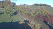 Archived webcam image showing Donnstetten Luge Run on 22 Oct 2026 at 08:39