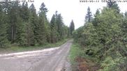 Archived webcam image showing Cross-country Ski trail Flössweg on 11 Jun 2026 at 08:16