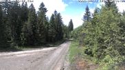 Archived webcam image showing Cross-country Ski trail Flössweg on 11 Jun 2026 at 14:16