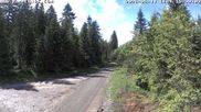 Archived webcam image showing Cross-country Ski trail Flössweg on 11 Jun 2026 at 16:16