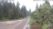 Archived webcam image showing Cross-country Ski trail Flössweg on 11 Jun 2026 at 10:16