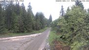 Archived webcam image showing Cross-country Ski trail Flössweg on 11 Jun 2026 at 12:16