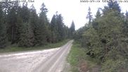 Archiviertes Webcam Bild: Kammloipe Flössweg am 12.07.2026 um 14:00 Uhr
