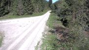 Archiviertes Webcam Bild: Kammloipe Flössweg am 12.07.2026 um 10:00 Uhr